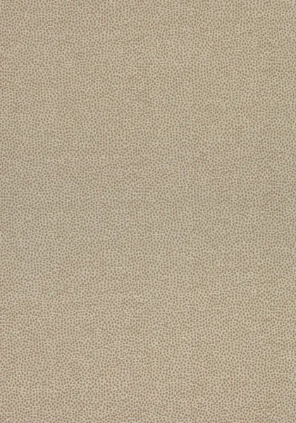 Ткань Thibaut Cadence W74076