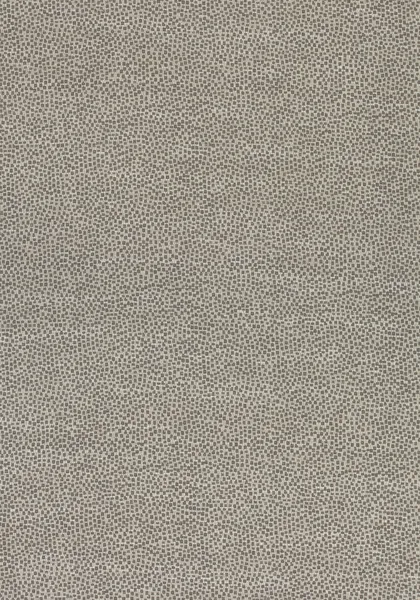 Ткань Thibaut Cadence W74077