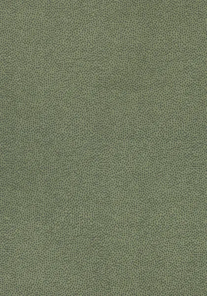 Ткань Thibaut Cadence W74078