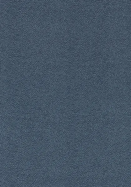 Ткань Thibaut Cadence W74080