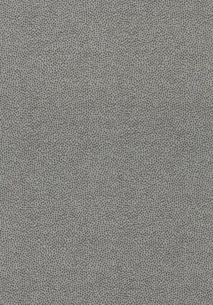 Ткань Thibaut Cadence W74081