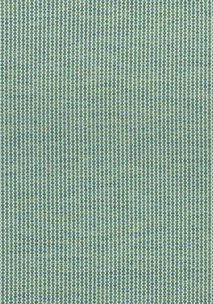 Ткань Thibaut Cadence W74086
