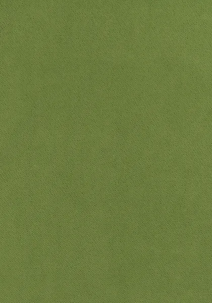 Ткань Thibaut Club Velvet W7256