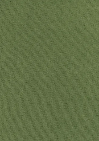 Ткань Thibaut Club Velvet W7257