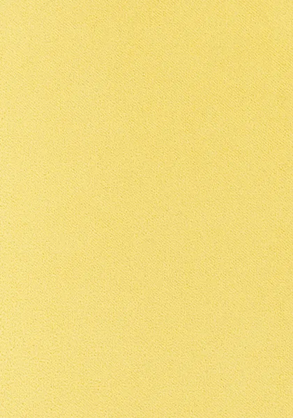 Ткань Thibaut Club Velvet W7259