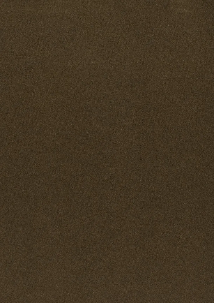 Ткань Дом CARO Dim Out Dimmer 02