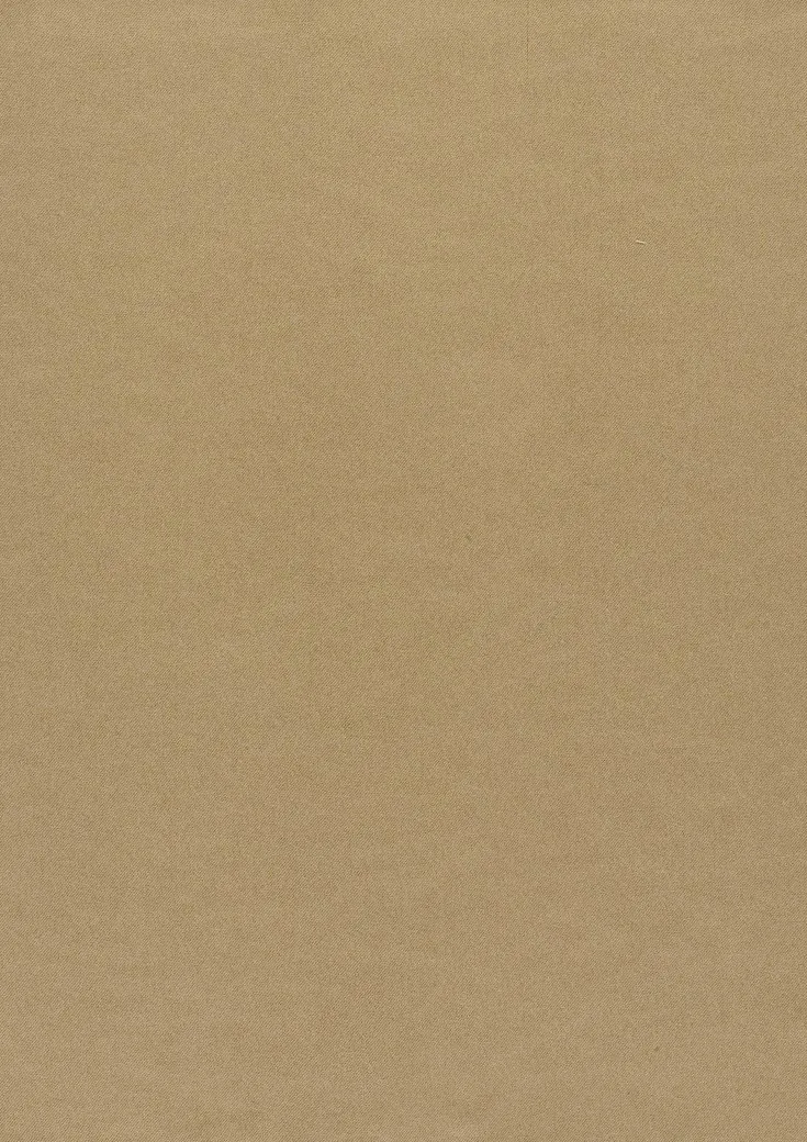 Ткань Дом CARO Dim Out Dimmer 03