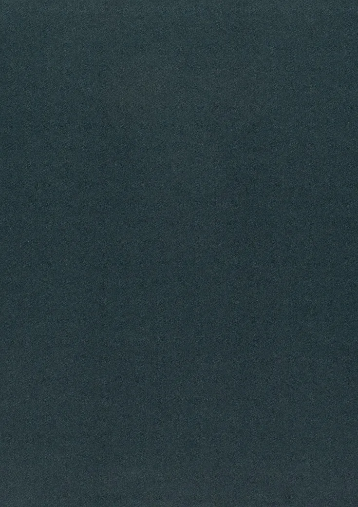 Ткань Дом CARO Dim Out Dimmer 07