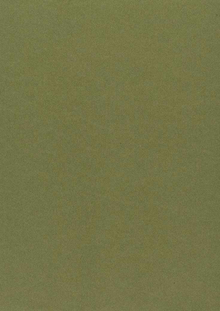 Ткань Дом CARO Dim Out Dimmer 10