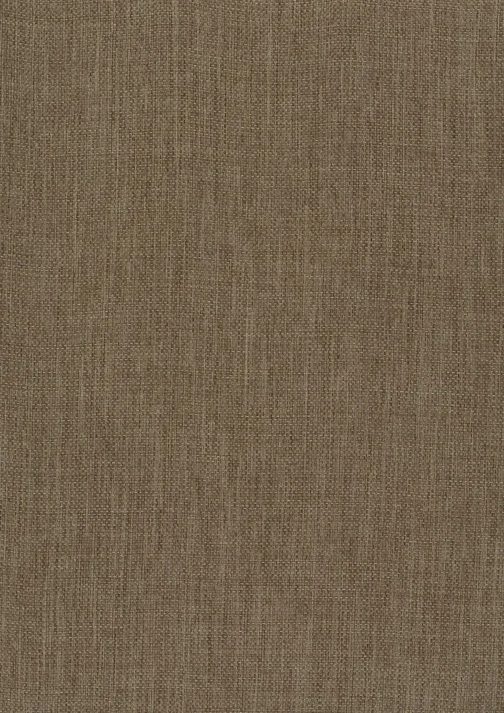 Ткань Дом CARO Dim Out Subdued 01