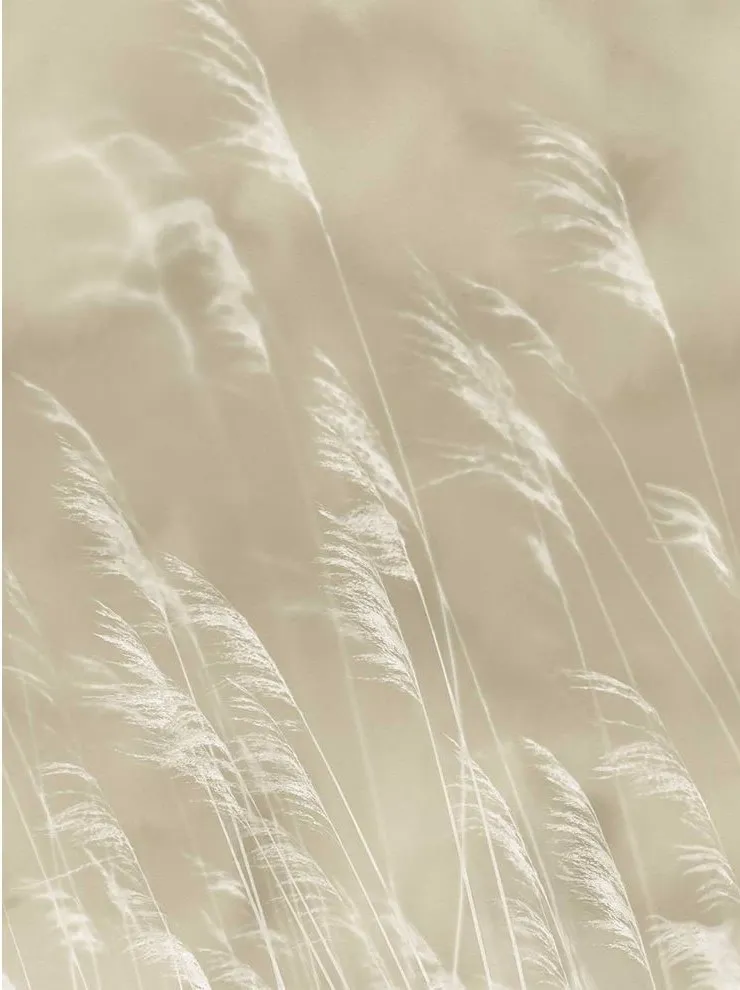 Обои для стен Eijffinger Waterfront 300900