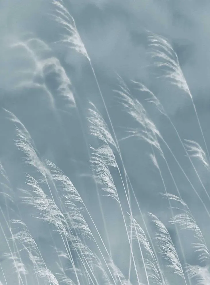 Обои для стен Eijffinger Waterfront 300902