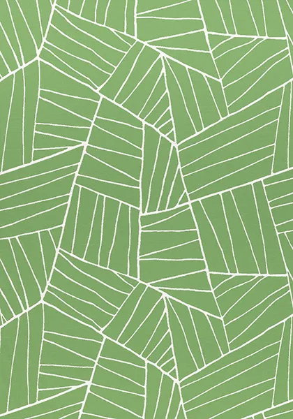 Ткань Thibaut Festival W74652