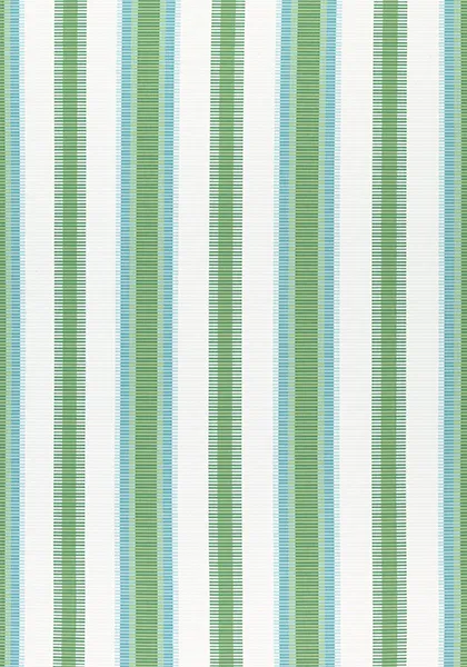 Ткань Thibaut Festival W74672