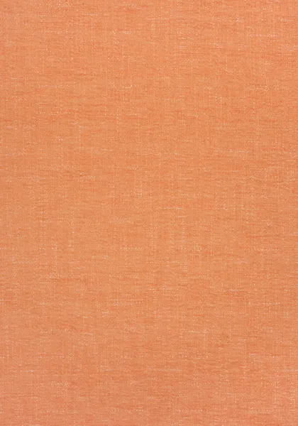 Ткань Thibaut Landmark Textures W73384