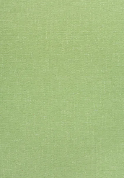 Ткань Thibaut Landmark Textures W73385