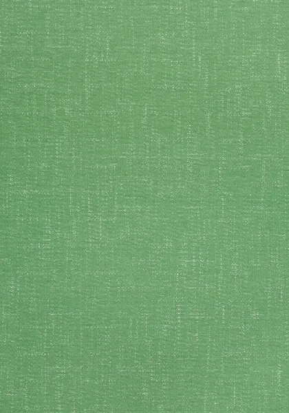 Ткань Thibaut Landmark Textures W73386