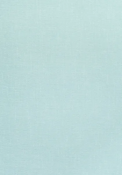 Ткань Thibaut Landmark Textures W73388