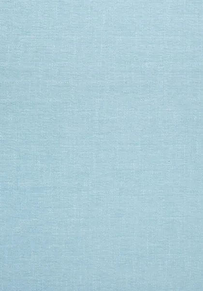 Ткань Thibaut Landmark Textures W73389