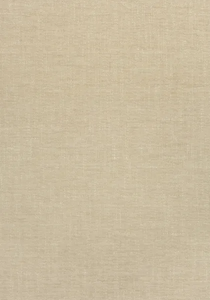 Ткань Thibaut Landmark Textures W73402