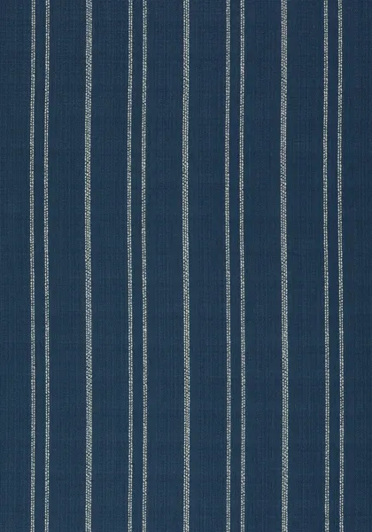 Ткань Thibaut Nomad W73309