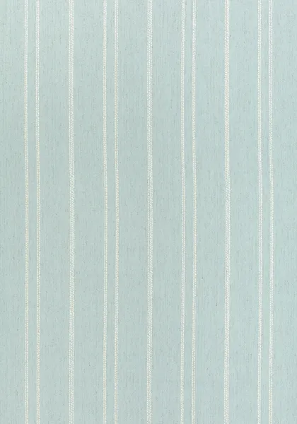 Ткань Thibaut Nomad W73310