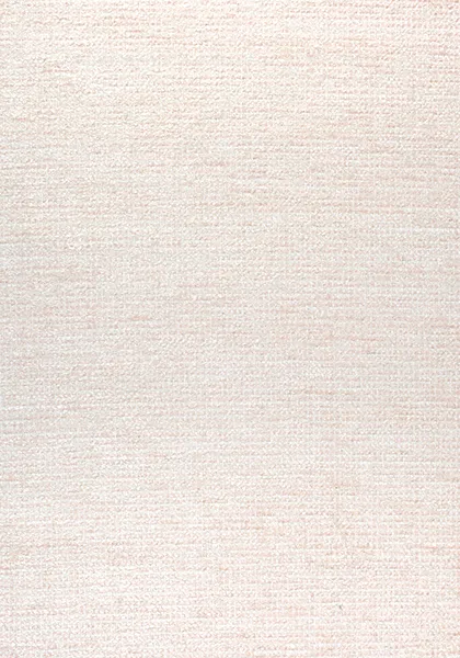 Ткань Thibaut Nomad W73317