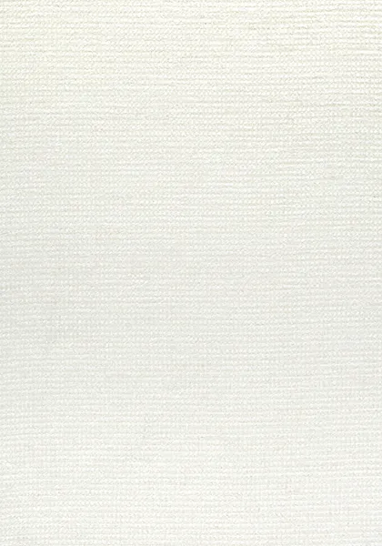 Ткань Thibaut Nomad W73318