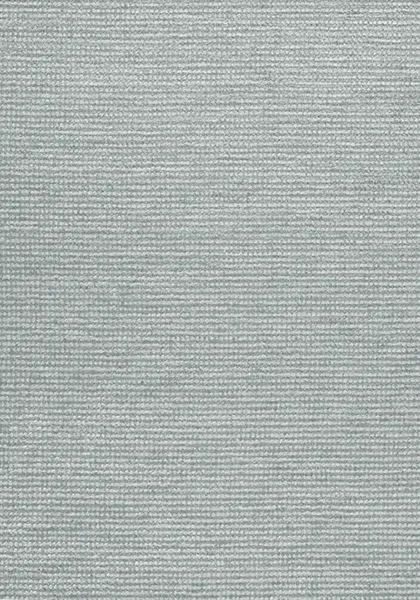 Ткань Thibaut Nomad W73321