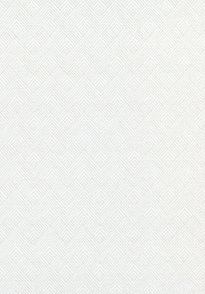 Ткань Thibaut Nomad W73332