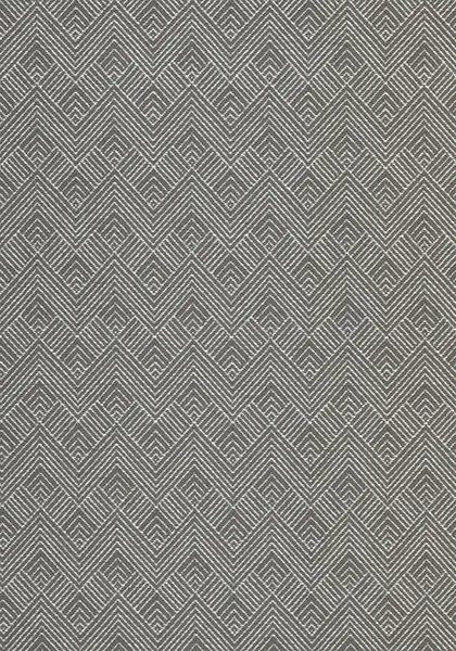 Ткань Thibaut Nomad W73335