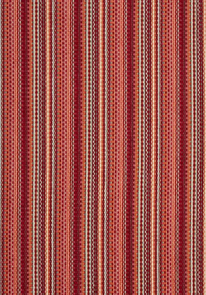 Ткань Thibaut Nomad W73356