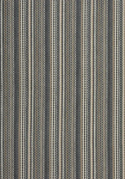 Ткань Thibaut Nomad W73359