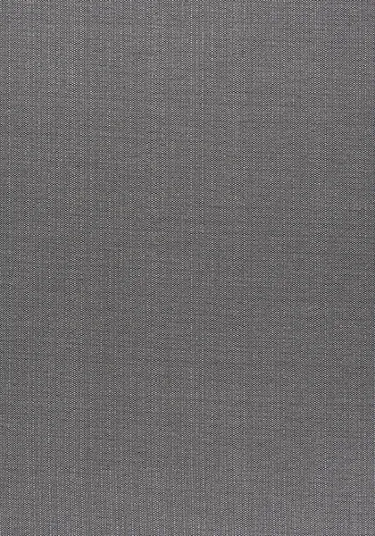 Ткань Thibaut Nomad W73373