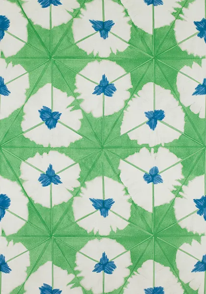 Ткань Thibaut Summer House F913088