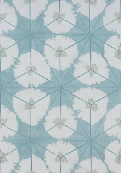 Ткань Thibaut Summer House F913091