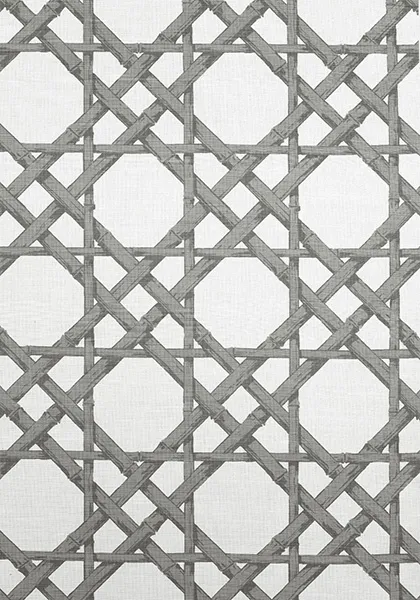 Ткань Thibaut Summer House F913141