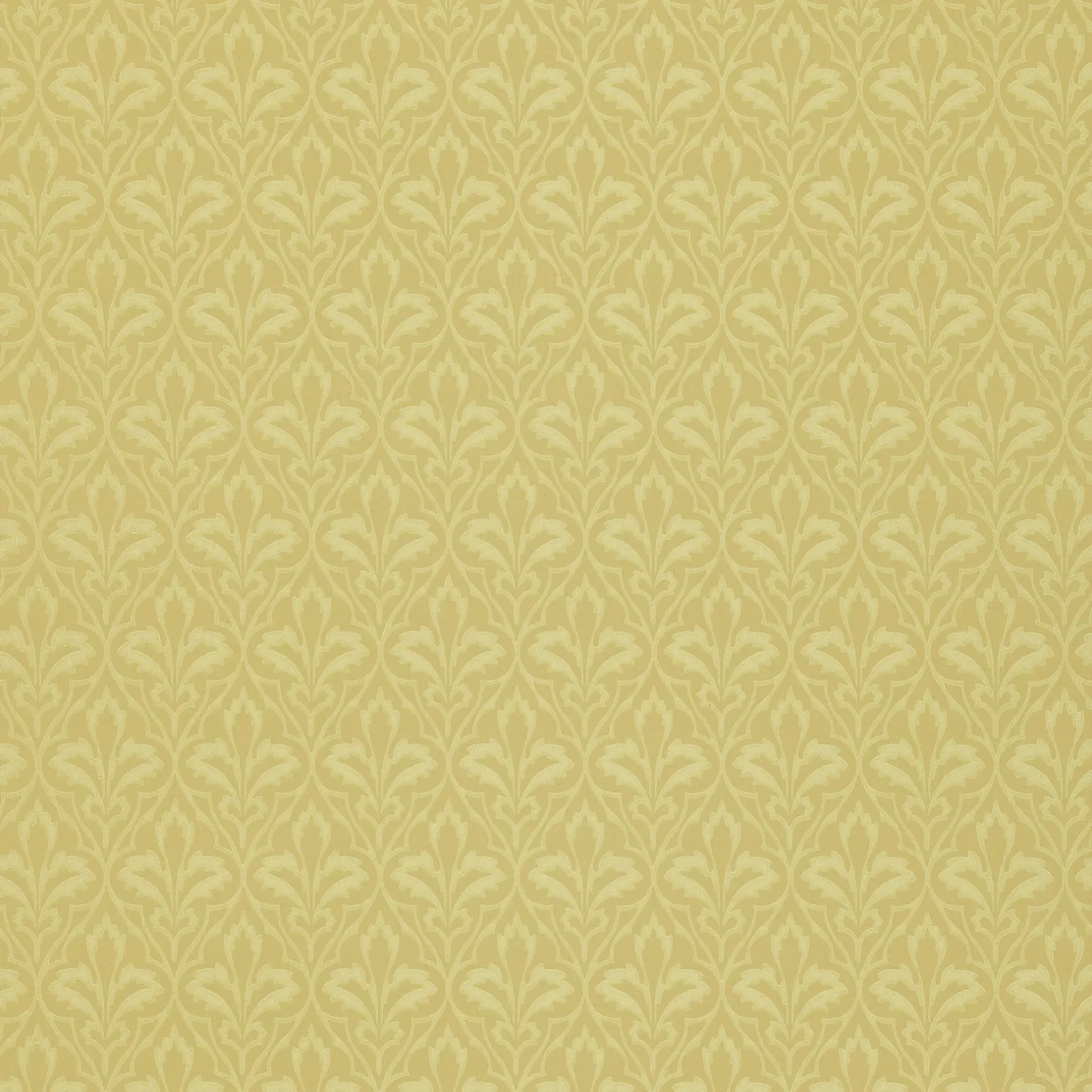 Обои для стен Morris & Co Volume III DMY1OJ102