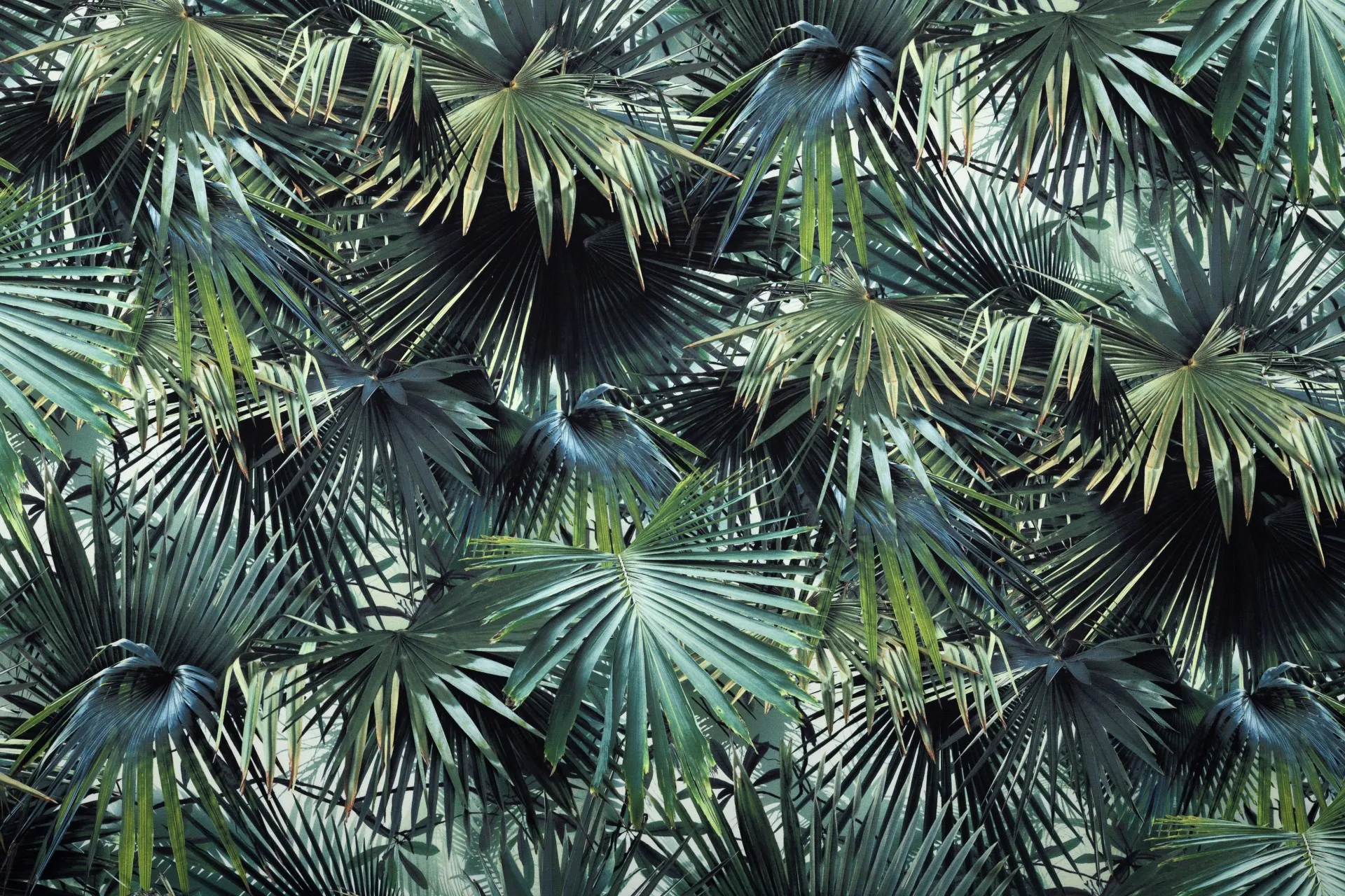 Ткань Jean Paul Gaultier Autour du Monde Fabrics 3490_02