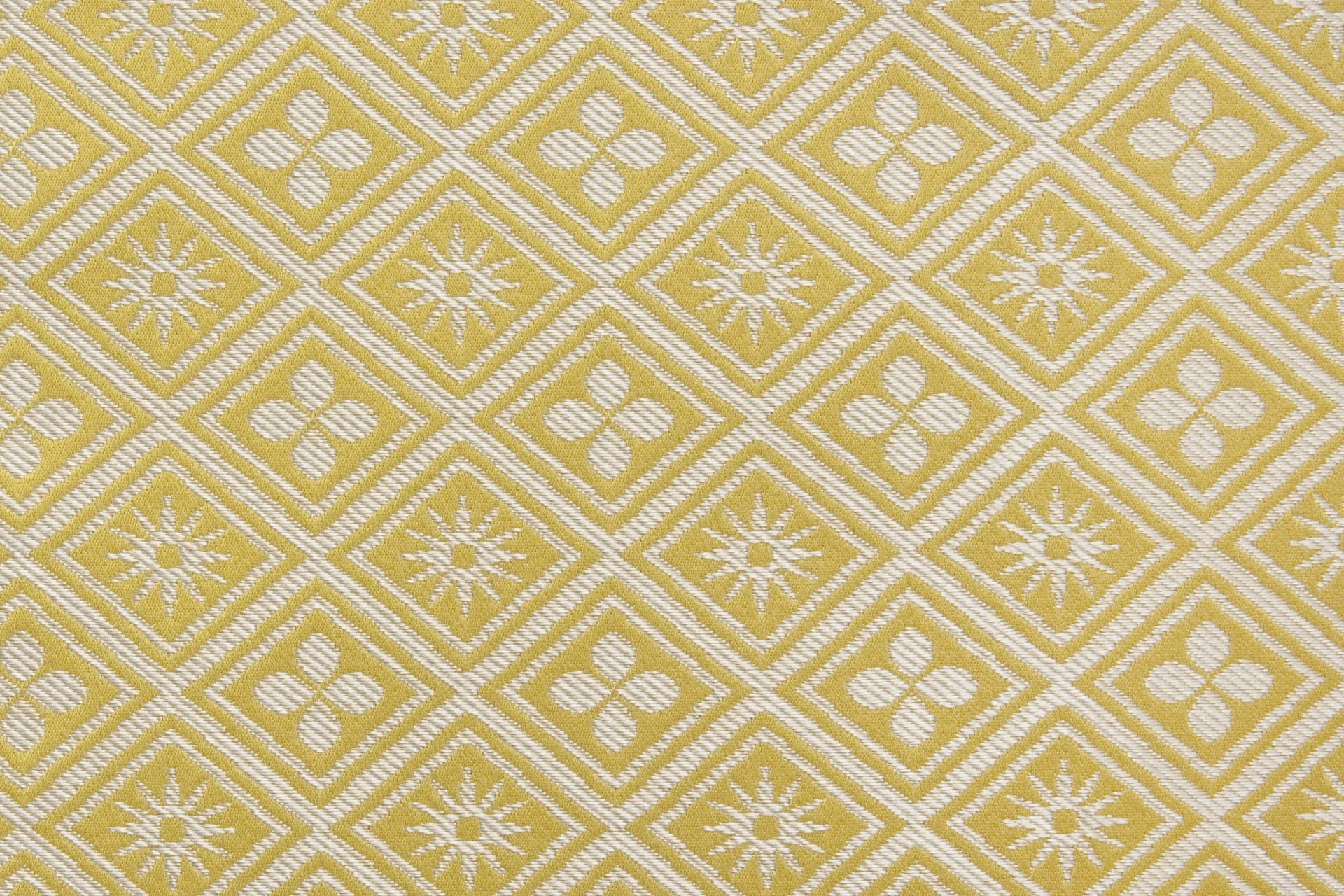 Ткань Tassinari & Chatel Corset 1698_03