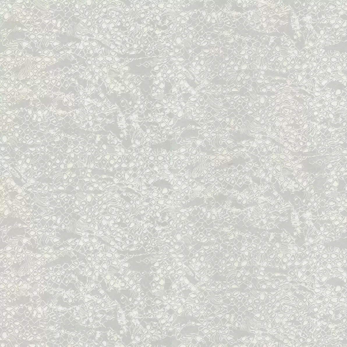 Обои для стен Roberto Cavalli No.8 rc19034