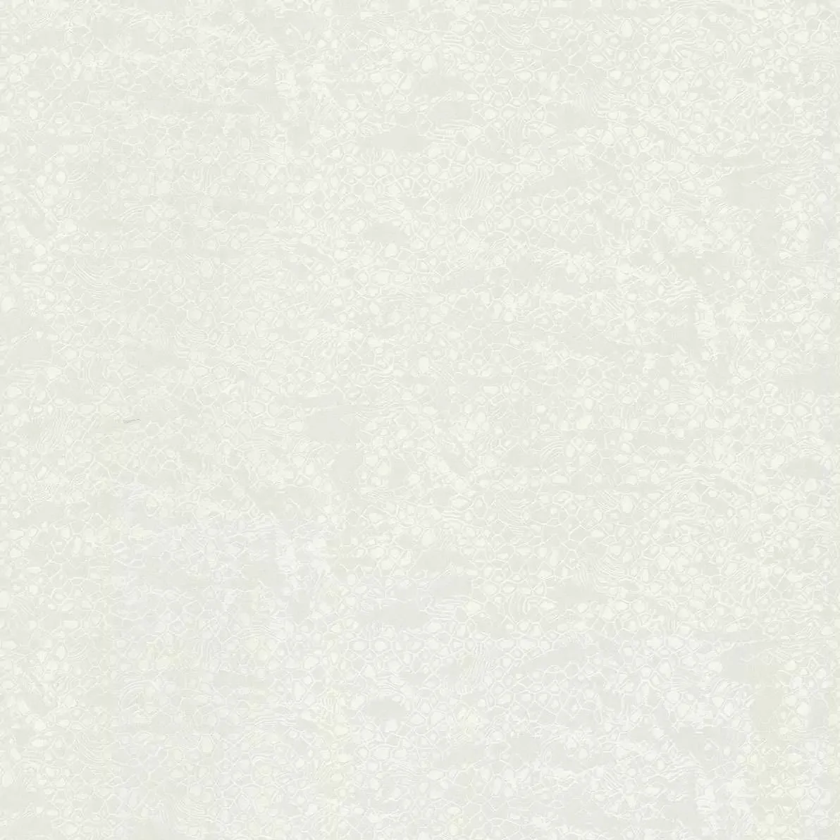 Обои для стен Roberto Cavalli No.8 rc19039