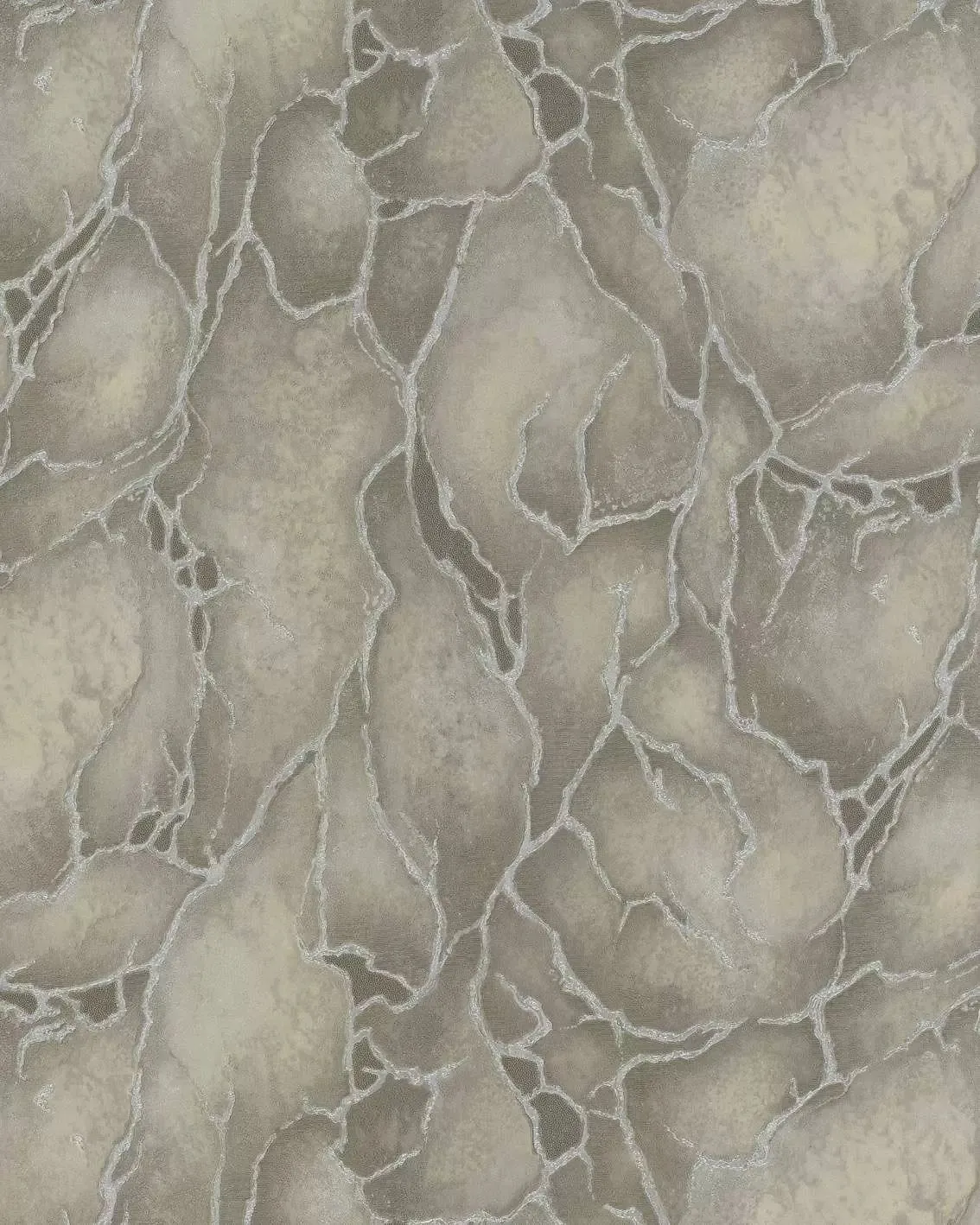 Обои для стен Valentin Yudashkin Valentin Yudashkin 5 86020