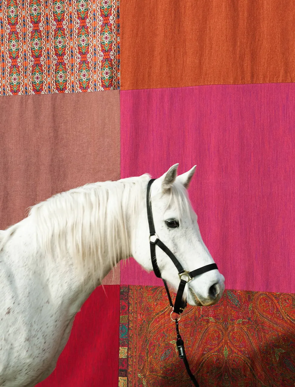 Ткань Dedar Acacia T22014_012 #6