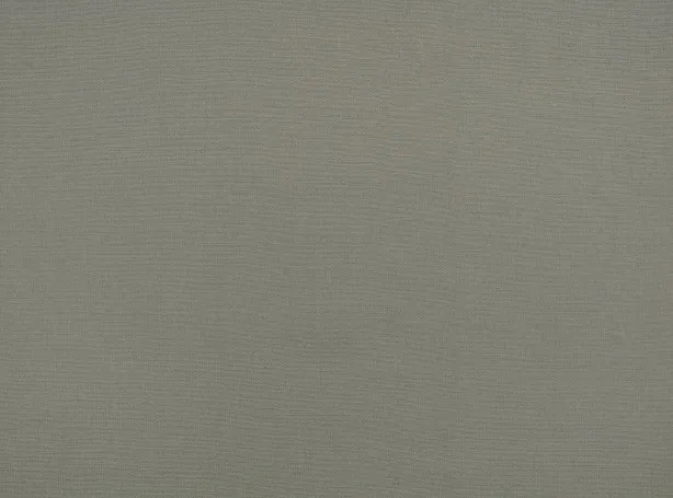 Ткань Mark Alexander Plainly III M631-06