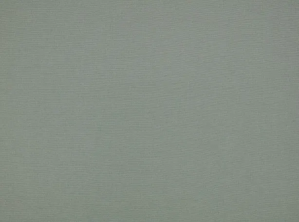 Ткань Mark Alexander Plainly III M631-07