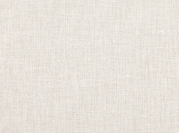 Ткань Mark Alexander Homespun II M437-05