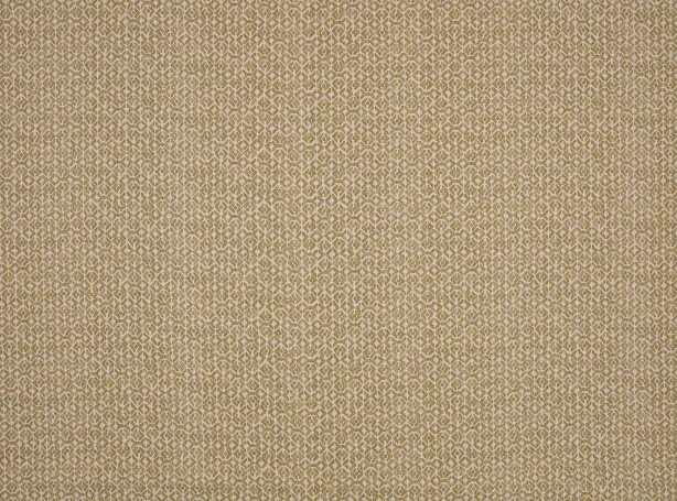Ткань Mark Alexander Woodblock II M629-07