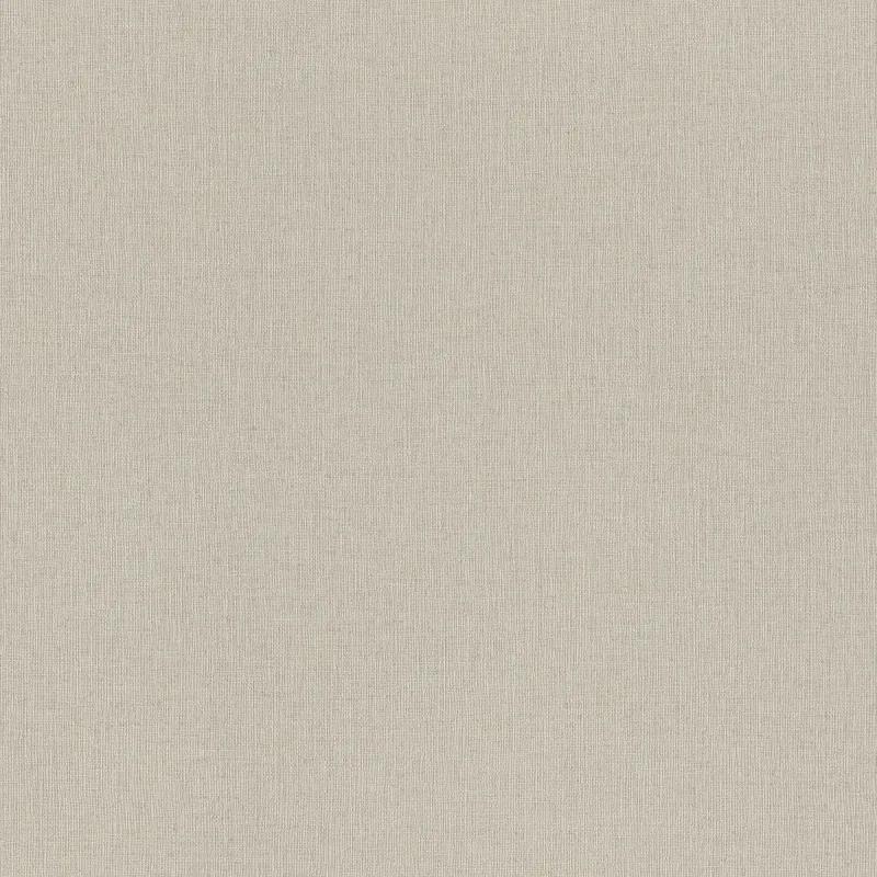 Обои для стен Rasch Textil Trend 975505
