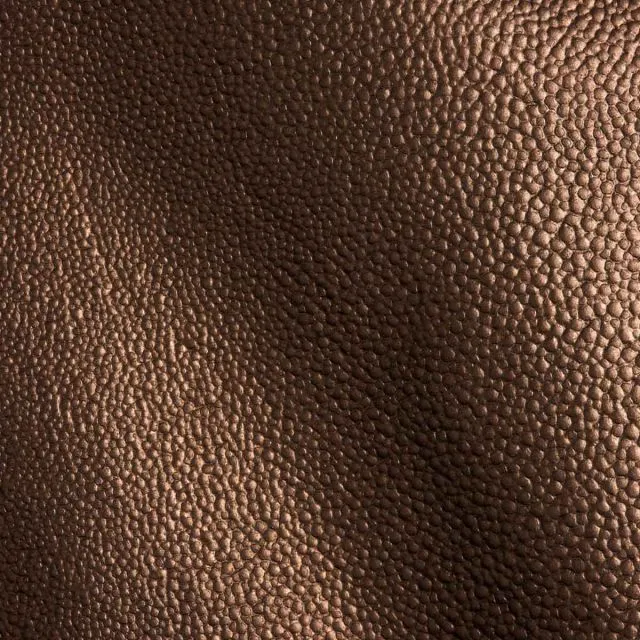 Ткань Studioart The Specialties Leathers Razza Bronzo